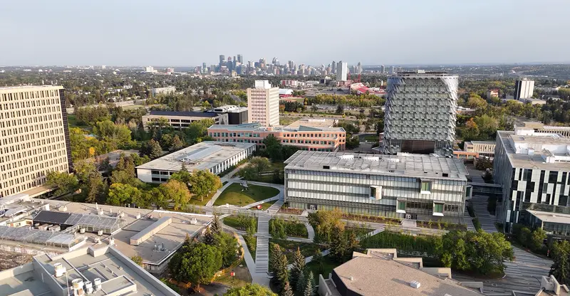 Schools & Universities